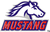 Mustang_100h