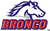 Bronco_100h