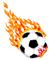 Flaming