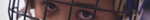 Cynbad_media