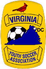 Vysa_logo