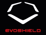 Evoweblogo