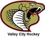 Vipers