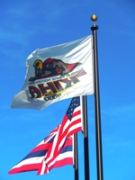 Kiha_flags