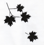 Billingsley_logo019