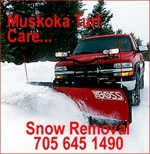 Removal_turfcare_editied