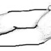 arm_clinch.jpg