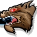wolfheadnewsfeed.jpg
