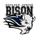 Jrbison_newslogo2_thumb