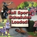 Fallsportscollageweb_thumb