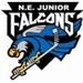 Falcons_thumb