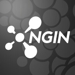 Ngin_thumb