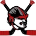 Raiders_thumb