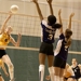 Volleyballdone_thumb