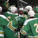 A21edina254sectionpreview_thumb