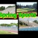 Springsportsweb_thumb