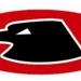 Icehawklogo_thumb