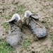 Dirty-soccer-cleats2_thumb