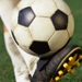 Soccerballcleat_thumb