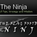 Ninja_thumb