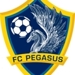 Fc_pegasus_thumb