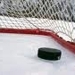 Netpuck_thumb