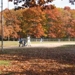 Fallbaseball3002_thumb