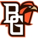 Falcon_thumb