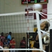 1den_vs_potts__2_thumb