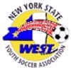Logo-nyswysa_element_view