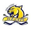 Icecats_element_view