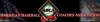 American_baseball_element_view