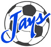 Jays_ball_element_view