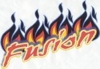 Fusion_sm_element_view