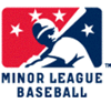 1_offlogo_milb_element_view