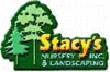 Stacys_element_view