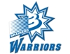 Brd_warriors_burst_logo_element_view