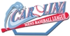 Carolina1_logo_element_view