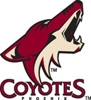 Sponsored by Phoenix Coyotes (NHL)