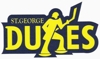 Dukes_20logo_element_view