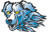 Sponsored by Ice Dogs Hockey Association