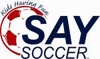Say_logo_element_view