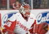 Goalie_element_view