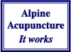 Alpine_acupuncture_element_view