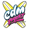 Cdm_yogurt_logo_element_view