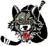 Wolveshockey_element_view