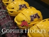 Sponsored by University of Minnesota Gophers