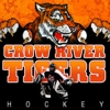 Sponsored by SPORT NGIN has provided our hockey association a solution, and more importantly a great user experience