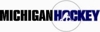 Michiganhockey_color_element_view