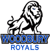 Sponsored by Woodbury High School Boys Hockey